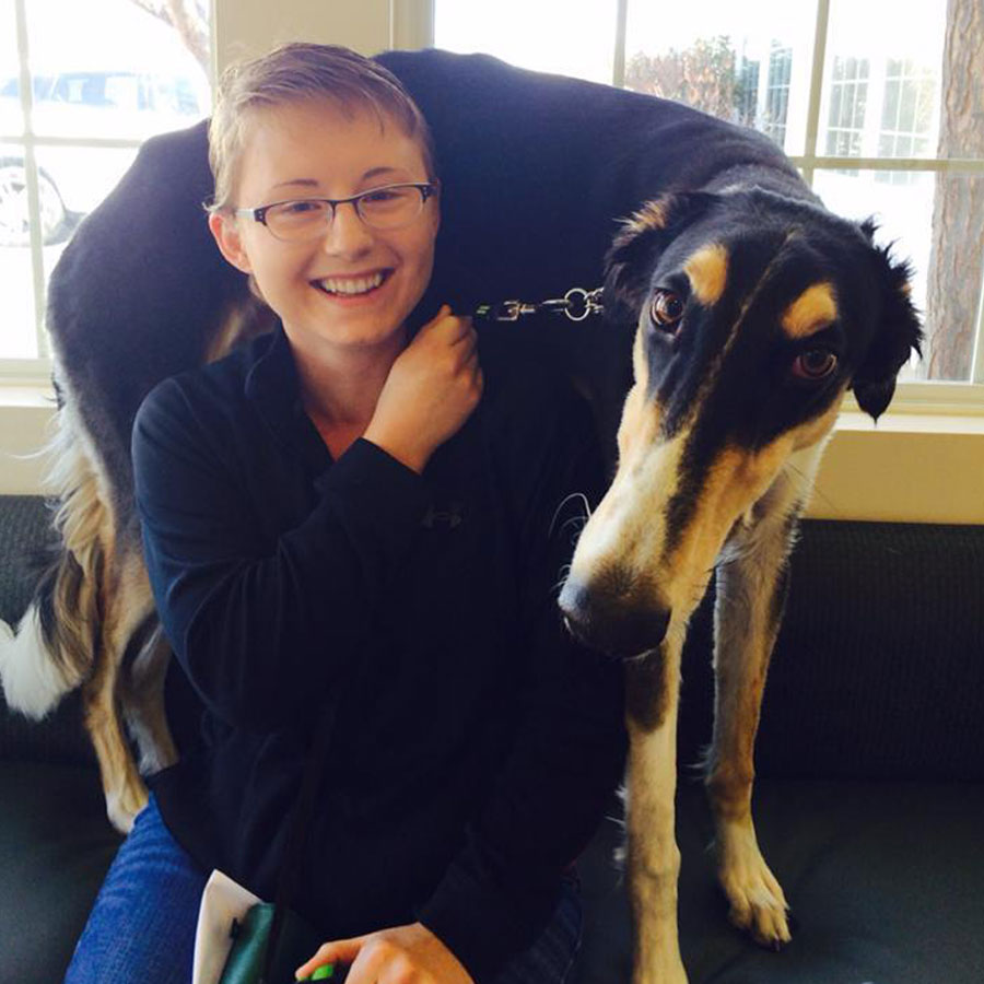 General Services Vet in Reno Mountain View Animal Hospital