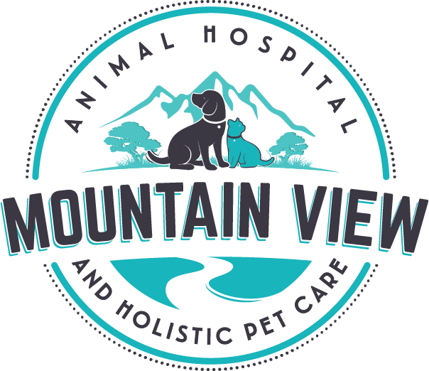 Logo for Mountain View Animal Hospital and Holistic Pet Care featuring a dog and a cat sitting in front of mountains and trees. The logo, ideal for any veterinarian clinic, incorporates teal and black colors with dotted circular patterns around the text.