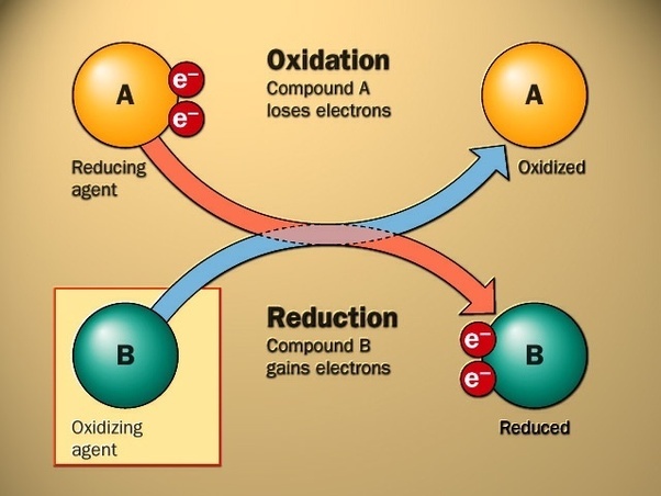 A diagram illustrating oxidation and reduction. Compound A (oxidizing agent) loses electrons, turning into an oxidized form. These electrons are gained by Compound B (reducing agent), turning it into a reduced form. Like a vet ensuring the health of pets, arrows show the electron transfer process.