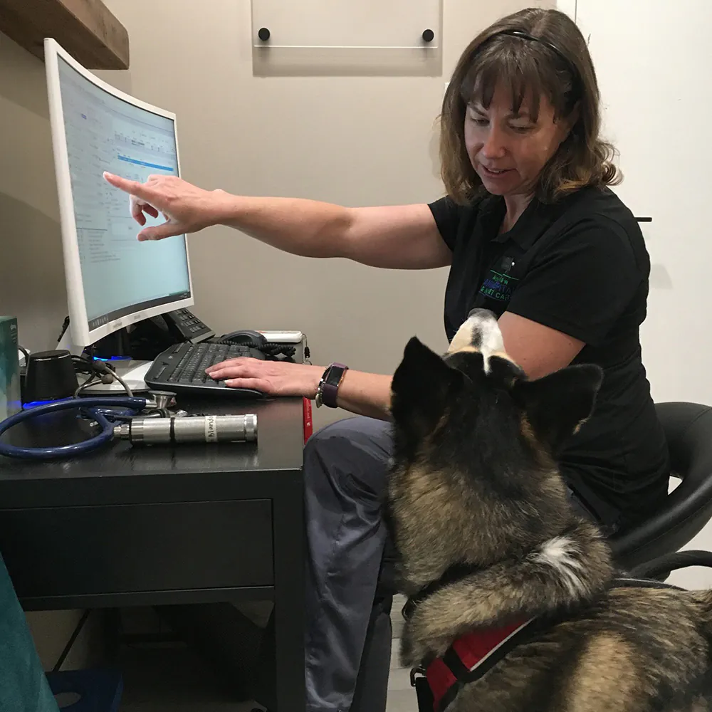 A veterinarian sits at a desk, pointing at a computer screen with a document open. A dog sits attentively beside her, looking at the screen. Various office items are on the desk, including a stethoscope, and the room appears to be a veterinary office.