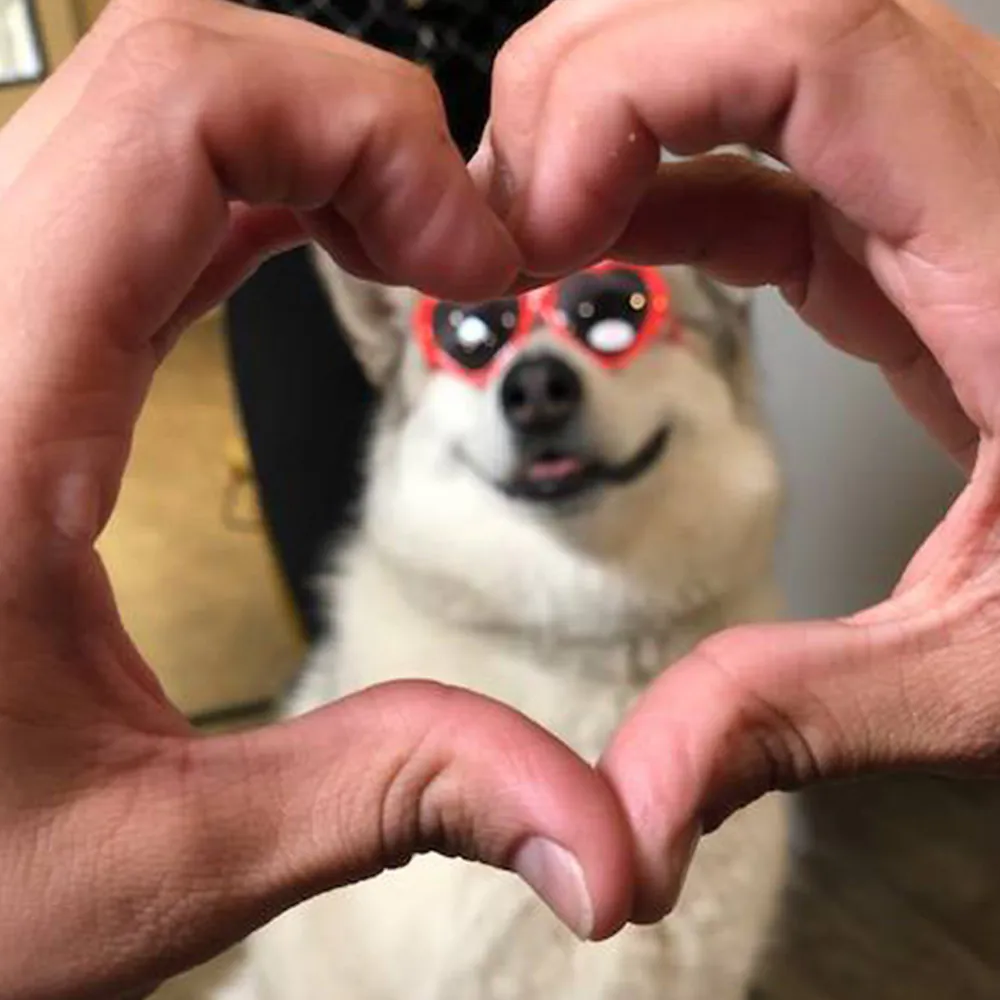 A fluffy dog wearing red sunglasses is framed by two hands forming the shape of a heart in the foreground. The dog's mouth is slightly open, appearing joyful. The background is blurred, reminiscent of a veterinarian’s warm and caring environment, keeping the focus on the dog and the heart-shaped hands.