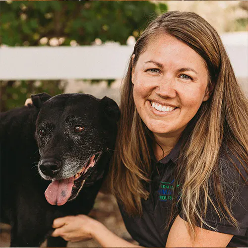 Veterinarian in Reno Vets Near Me Mountain View Animal Hospital