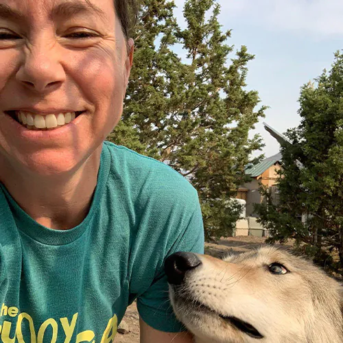 Veterinarian in Reno Vets Near Me Mountain View Animal Hospital