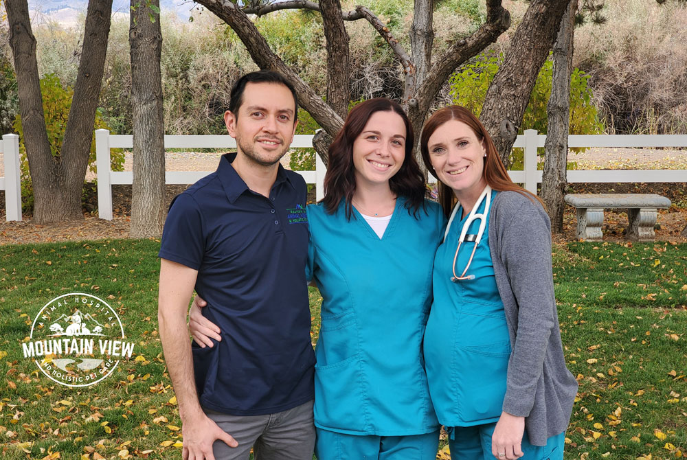 Three medical professionals, including a veterinarian, stand outside on grass in front of white fencing and trees. They all smile at the camera; two women in blue scrubs, one of whom is pregnant, and a man in a navy shirt. A "Mountain View" logo is visible in the lower left corner.