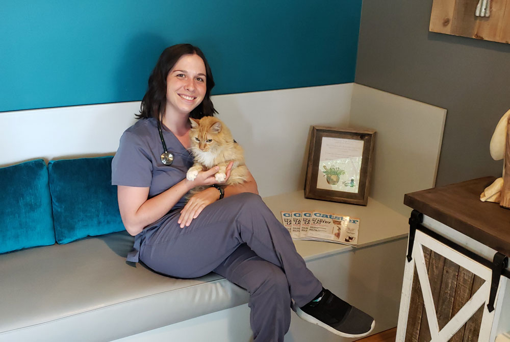 A woman wearing medical scrubs, seated on a bench with teal cushions, smiles while holding an orange cat. A framed certificate and brochures are on the bench next to her, hinting at her role as a veterinarian. Nearby, a small wooden table with a decorative item completes the cozy scene at the vet's office.