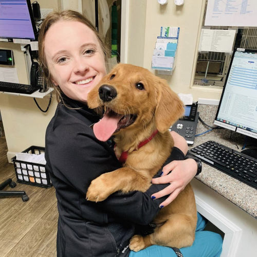 Wellness & Preventative Care Vet in Reno Mountain View Animal Hospital