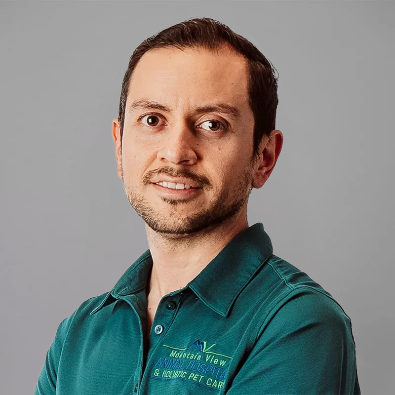 A man with short dark hair and a trimmed beard is smiling slightly. He is wearing a teal polo shirt with text embroidered on it, denoting his profession as a veterinarian. The background is plain and gray.