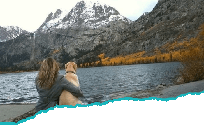 A veterinarian with long hair sits on a lakeshore beside a yellow labrador, both facing away and looking at snow-capped mountains in the distance. Fall foliage is visible on the far side of the lake. The weather is cloudy.