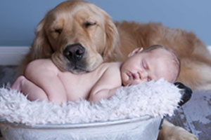 A golden retriever with its eyes closed rests its head gently on the edge of a fluffy basket, where a sleeping baby lies nestled. Both appear peaceful and content, sharing a tender moment of rest against a soft blue background—truly an image that would melt any vet's heart.