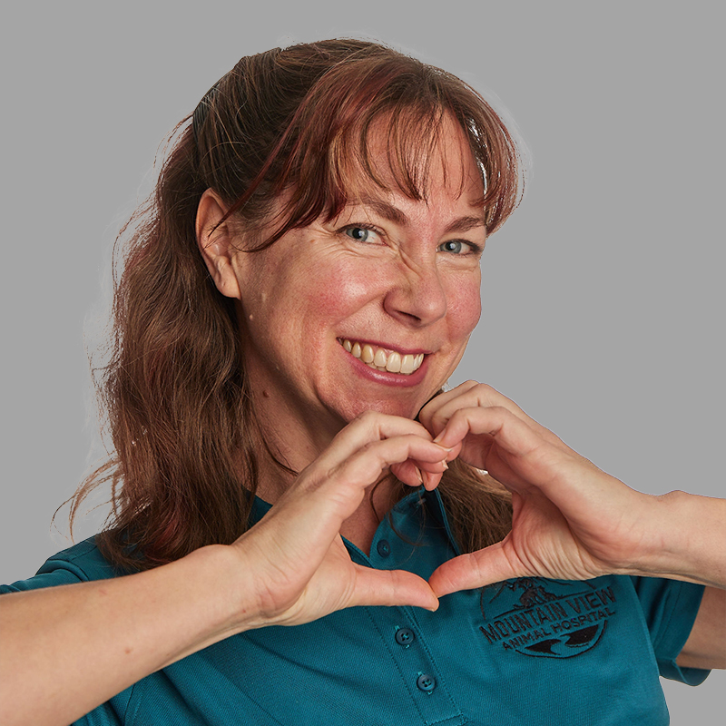 A smiling person with long brown hair stands against a gray background, making a heart shape with their hands. They are wearing a blue shirt with the text "MOUNTAIN VIEW VETERINARIAN" and a small logo on the left side of their chest.