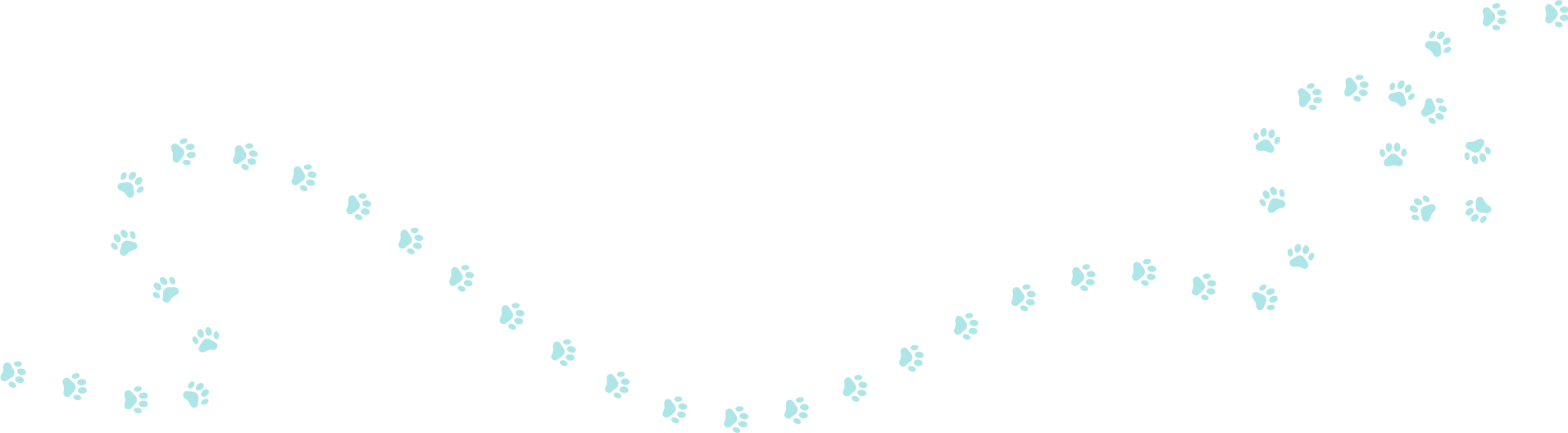 A series of small blue paw prints form a winding path across a white background, starting from the bottom left and leading to the top right. The paw prints are evenly spaced and create a playful, meandering trail, reminiscent of visits to the veterinarian.