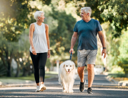 Holistic Approaches to Managing Pet Obesity