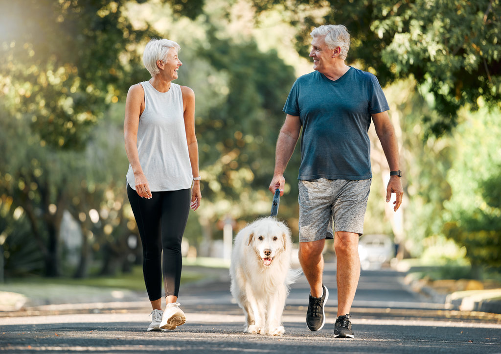 An older couple smiles at each other while walking a fluffy white dog on a tree-lined street, both dressed in casual athletic wear on a sunny day.
