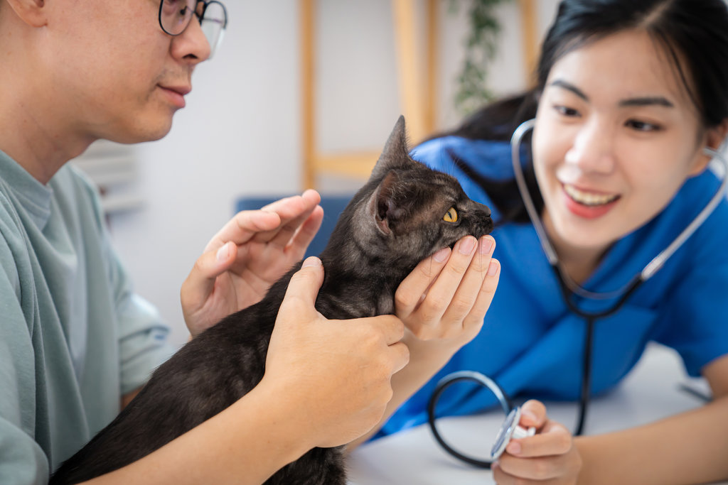 A veterinarian in blue scrubs examines a black cat with a stethoscope while the owner gently holds the cat's head during a check-up at a clinic.