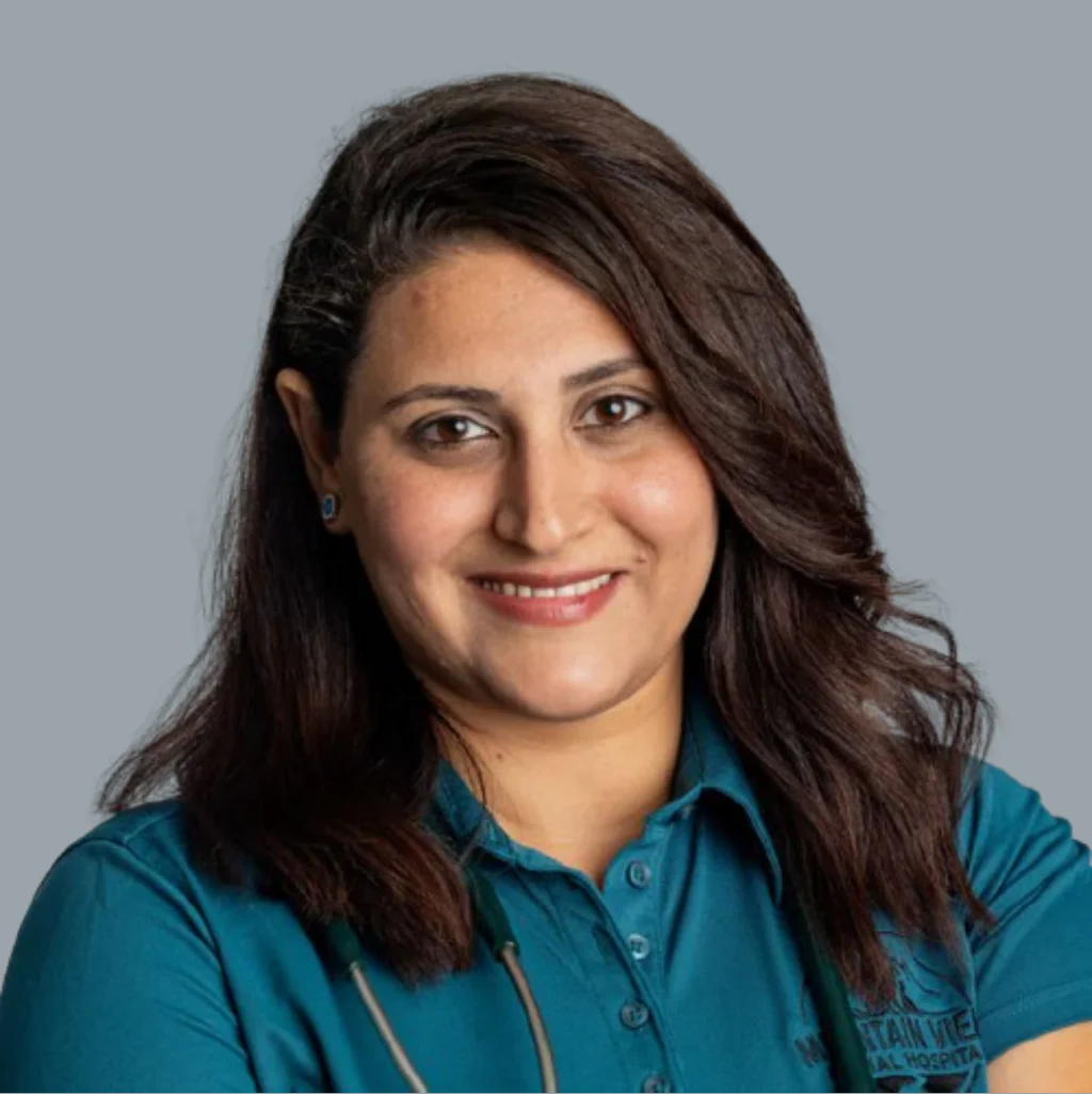 A woman with long, dark hair smiles at the camera. She is wearing a teal collared shirt with a stethoscope around her neck, standing against a plain grey background.