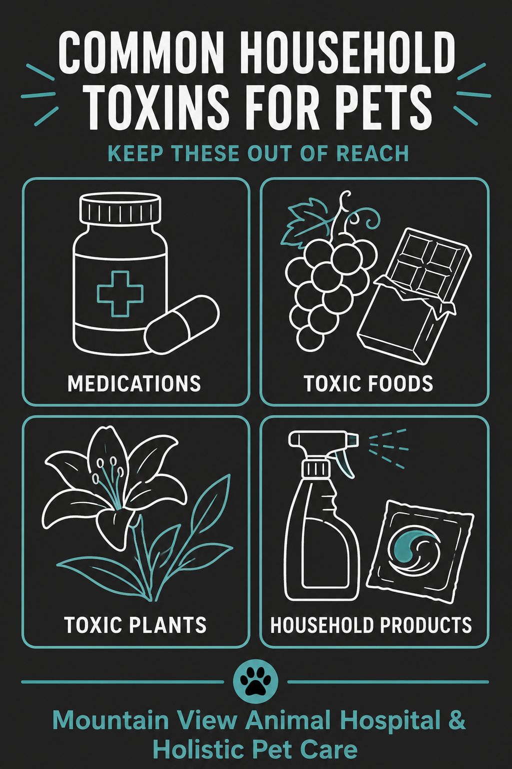 Infographic_What to Do if Your Pet Eats Something Toxic A Step-by-Step Guide